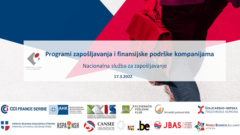 Webinar “Active employment policy measures and financial support for companies”